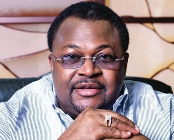 MIKE ADENUGA: The Iroko That Casts No Shadow Twice – By Bode Opeseitan